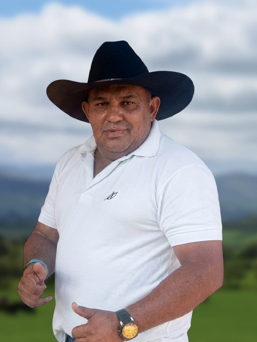 Panela de Zaraza